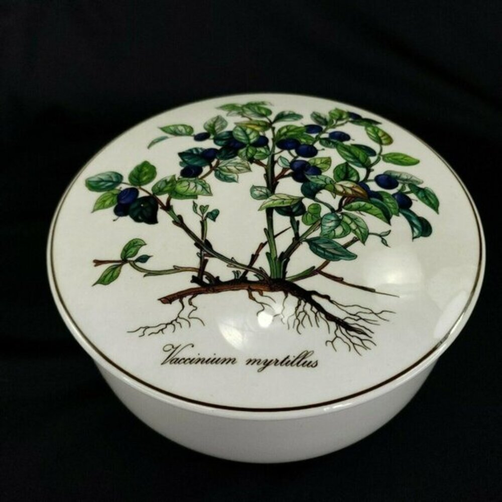 Villeroy and Boch Bilberry Porcelain Covered Lg Trinket Dish Botanica Luxembourg